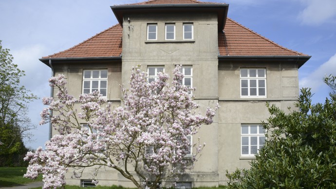 Ein Busch blüht vor der Villa Beermann. Ein Busch blüht vor der Villa Beermann.