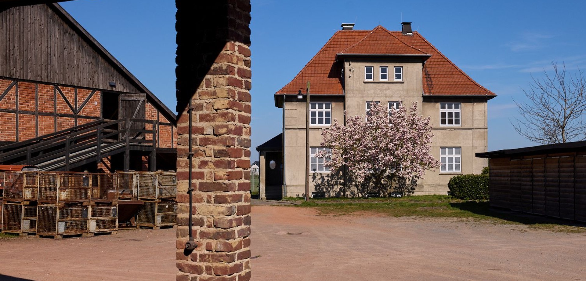 Villa Beermann mit blühender Magnolie